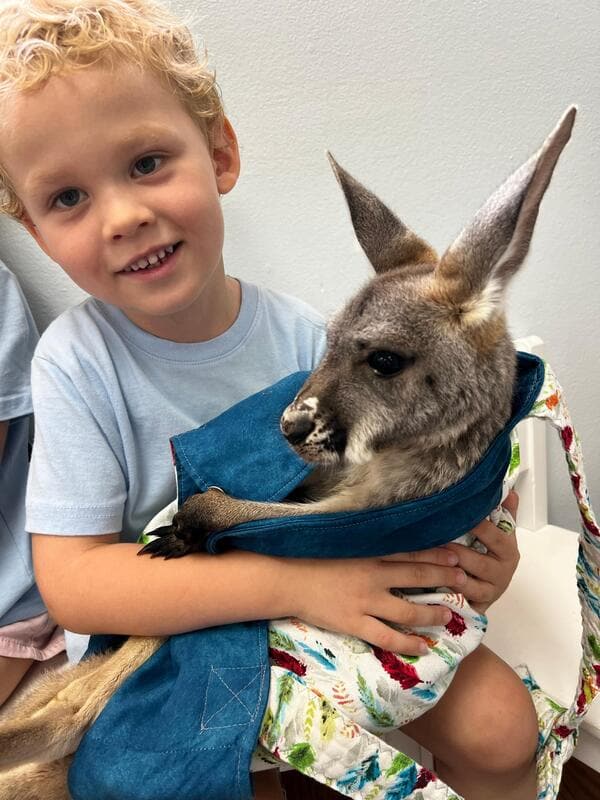 A student hugging a baby kangaroo during an on-site animal visit