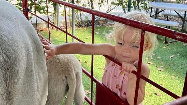 A young student petting an animal at the petting zoo