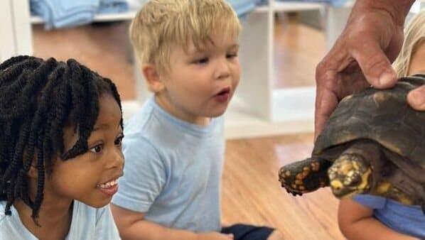 Two students meeting a tortoise up close
