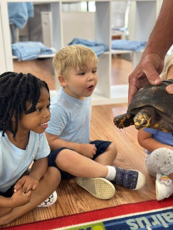 Students meeting a tortoise
