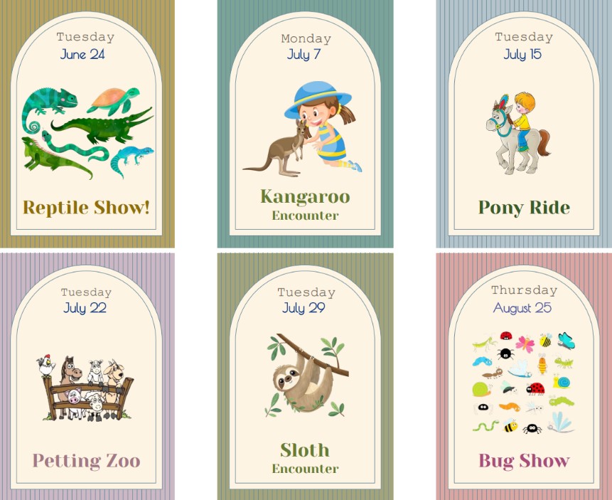 Summer field trip schedule: reptile show, kangaroo encounter, pony ride, petting zoo, sloth encounter, bug show